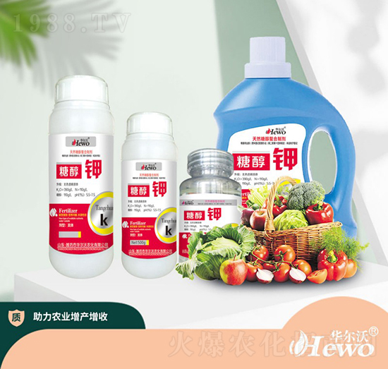 �Ǵ��-�A����