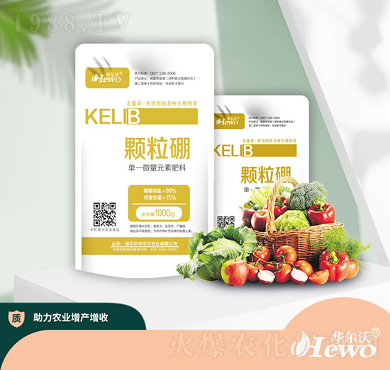 �w����-�A����