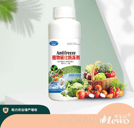 ֲ��Ż�������-�A����