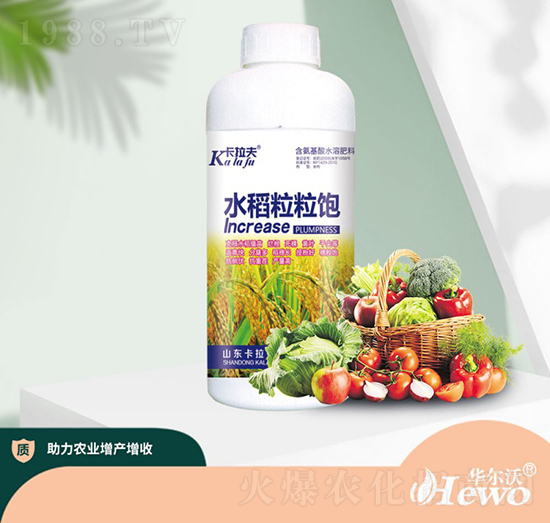 ˮ�������-������-�A����