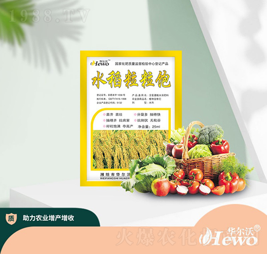 ˮ�������-�A����