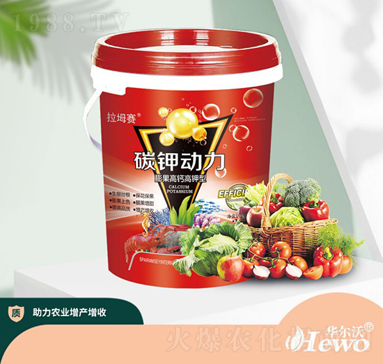 ������}�����̼⛄�(d��ng)��-�A����