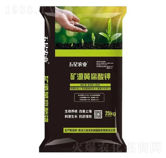 �VԴ�S����⛺�����-�ѷ�Ԫ