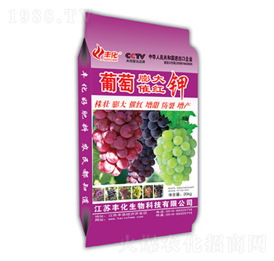 �������߼t�-�S��