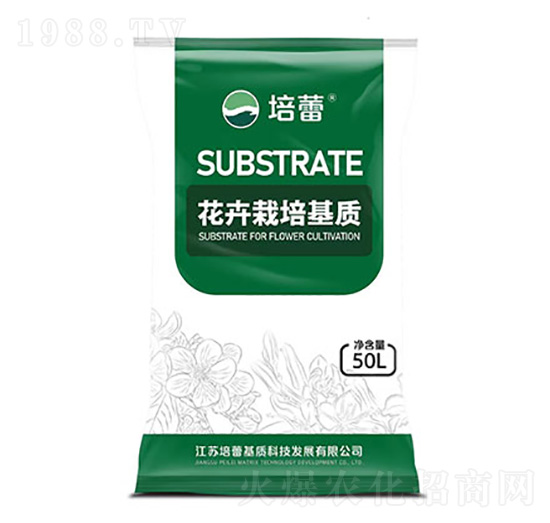 ������ľ������|(zh��)-����