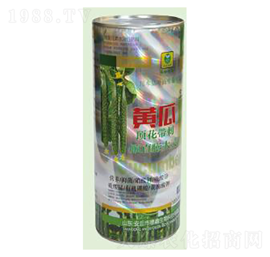 �S�������-��������