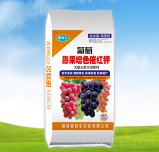 ���������ɫ�߼t�-���ؠ��r(n��ng)��