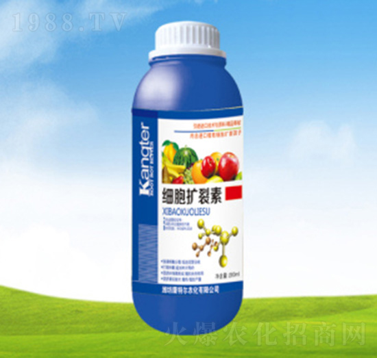 �����U����-���ؠ��r(n��ng)��