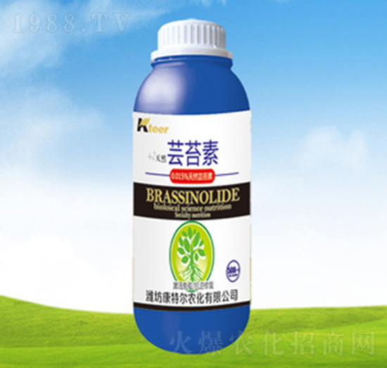 �|̦��-���ؠ��r��