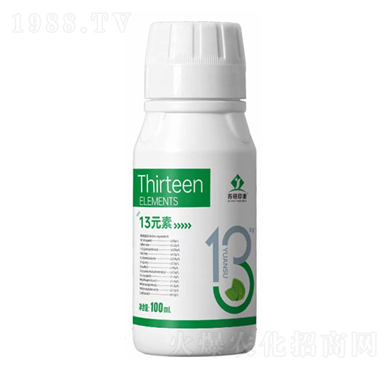 13Ԫ��-�K��ӡ��