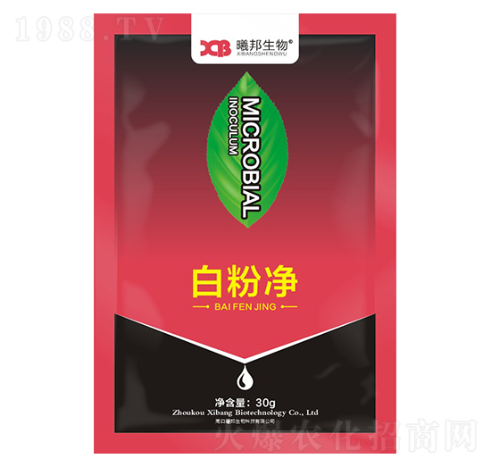 白粉凈微生物菌劑-曦邦生物