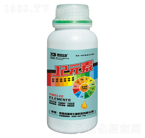 12Ԫ��-�ذ�����