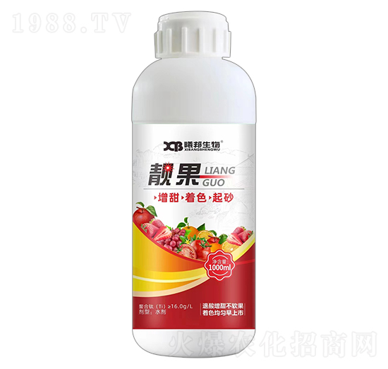 �n���~���-�ذ�����