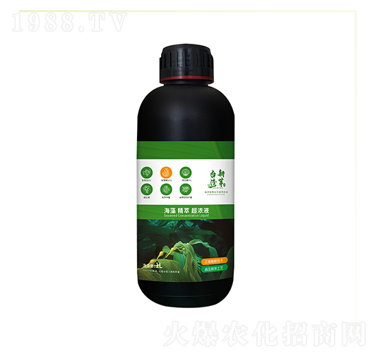 ƿ�b���徫�ͳ���Һ-�_(t��i)����ѿ