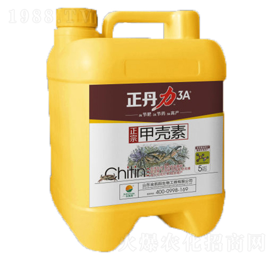 �ך���-������-���P�