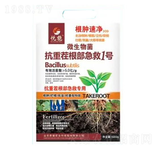 ���ز��������1̖-���[�ك�-�sҫ�r(n��ng)�I(y��)