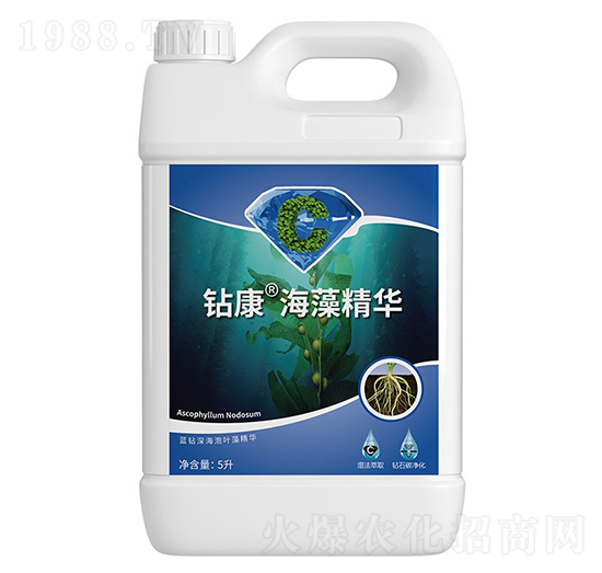 �@�����徫�A-��ţ�r(n��ng)�I(y��)