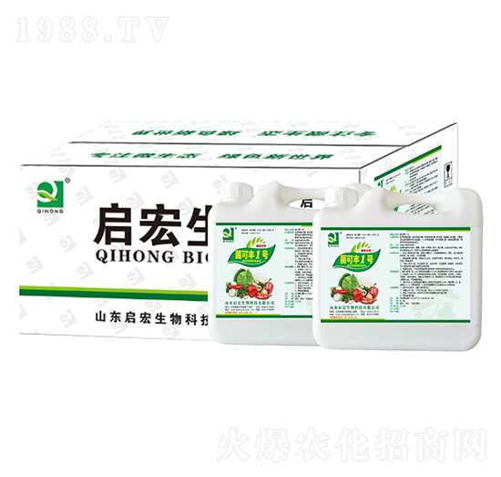 菌可豐1號-啟宏生物