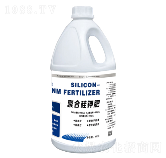 �ۺϹ�⛷�-����һ̖-���r(n��ng)��