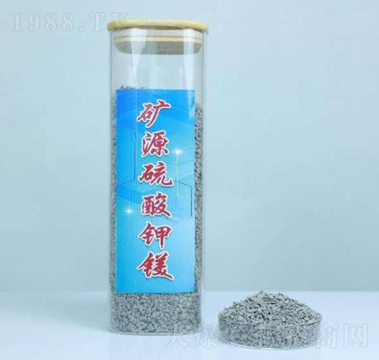 �VԴ������V���w����-ʥ��-�����r(n��ng)�I(y��)