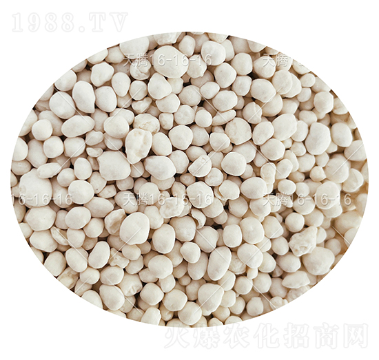 ��(f��)�Ϸ��ϣ��w����16-16-16-���v����