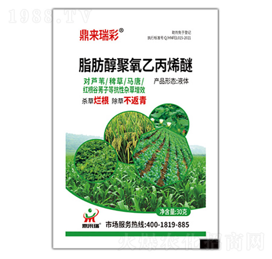 ֬���������ұ�ϩ��-����(l��i)���-����(l��i)��