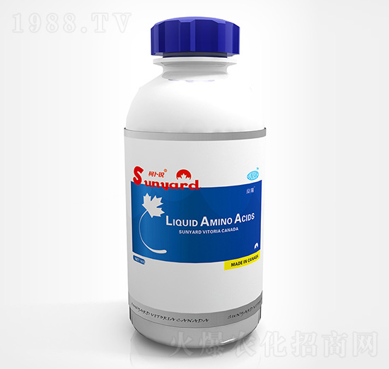 Һ�B(t��i)������-�²��J-��ꖻ���