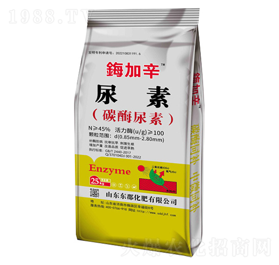 ����-�|������