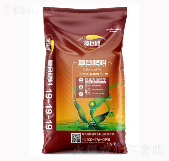 ����܏�(f��)�Ϸ���19-19-19-����