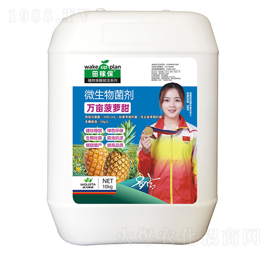 ΢�������-�f(w��n)�����}��-��ڱ�