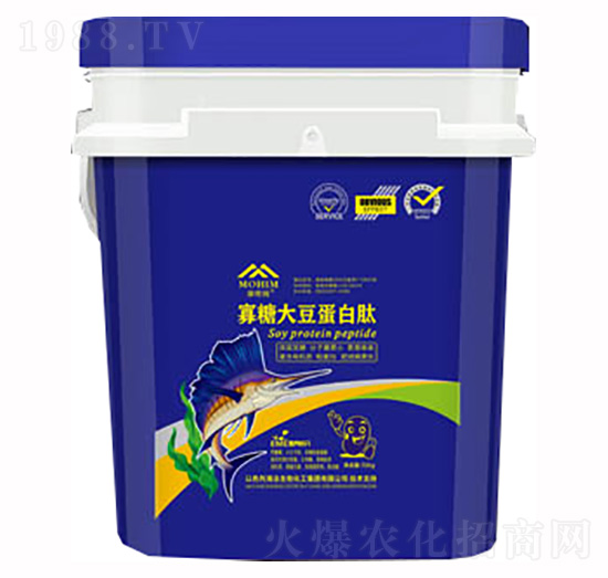 ���Ǵ󶹵����ģ��{��-�����S