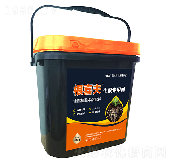 10kg�������Ä�-��ϲ��-������