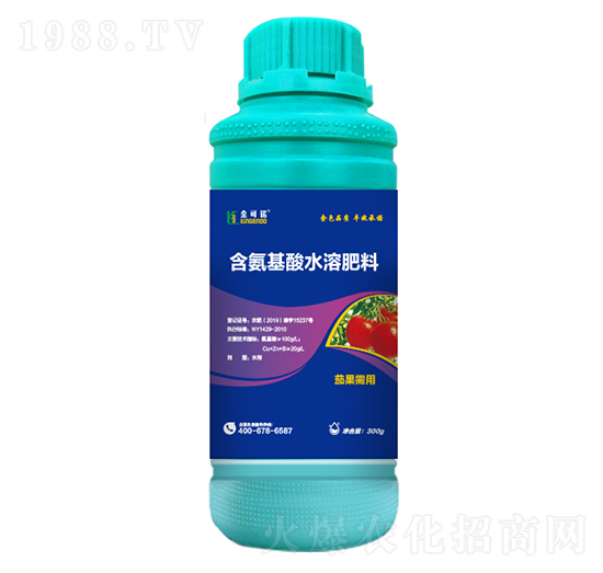 300g茄果需用含氨基酸水溶肥料-金可諾