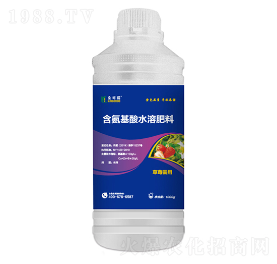 1000g草莓需用含氨基酸水溶肥料-金可諾