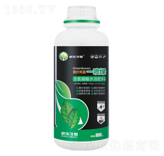 �S�~����һ���G-��������