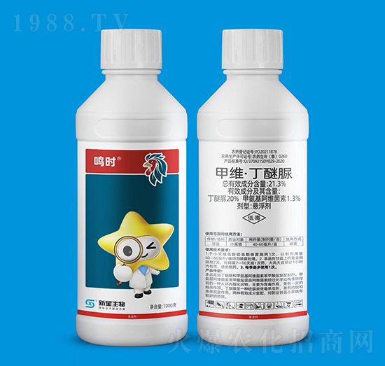 21.3%�׾S��������-�Q�r(sh��)-��������