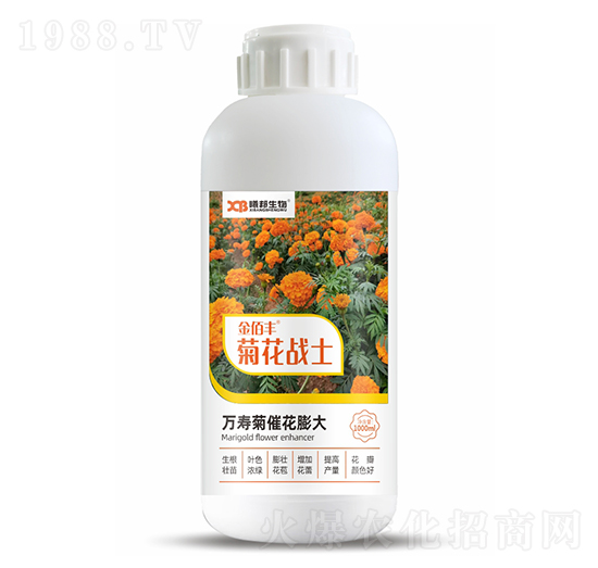 �f�۾մ߻����-�ջ���(zh��n)ʿ-����S-�ذ�����