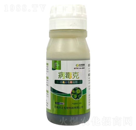 ��������������-������-��������