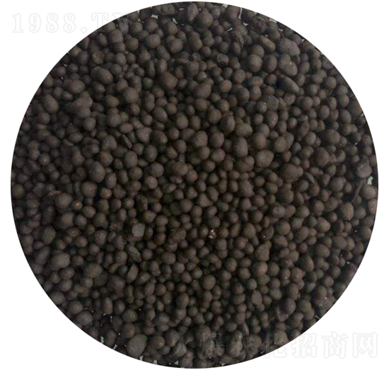 ��S�ЙC�ʣ��w����-�r(n��ng)��ʘI(y��)