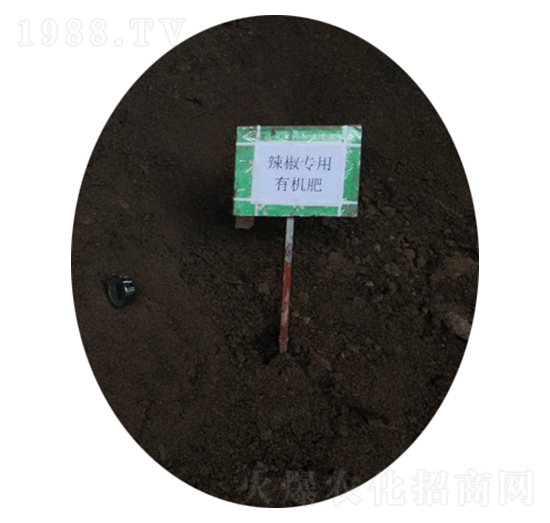 �����ЙC��-�r(n��ng)��ʘI(y��)