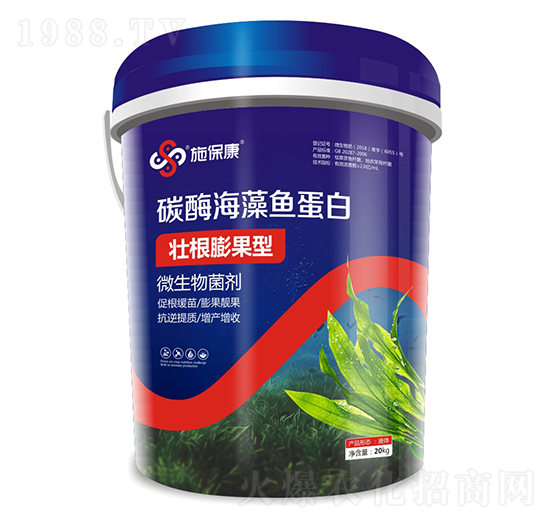 壯根膨果型碳酶海藻魚蛋白-施?？? style=