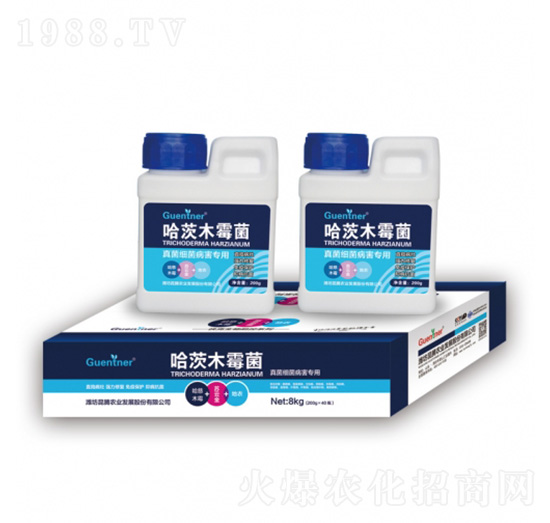 �����(x��)��������(zhu��n)�ù���ľù��-���v����