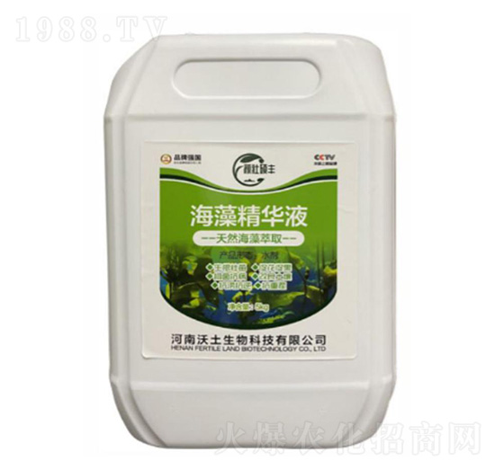 ���徫�AҺ-��������