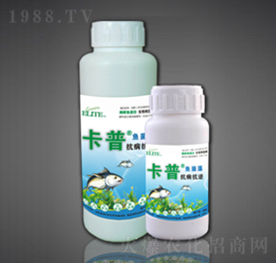 酶解魚蛋白葉面型-抗病抗逆-綠金高新