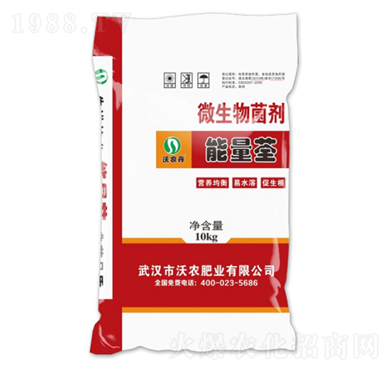 ΢�������-������-���r�ʘI(y��)