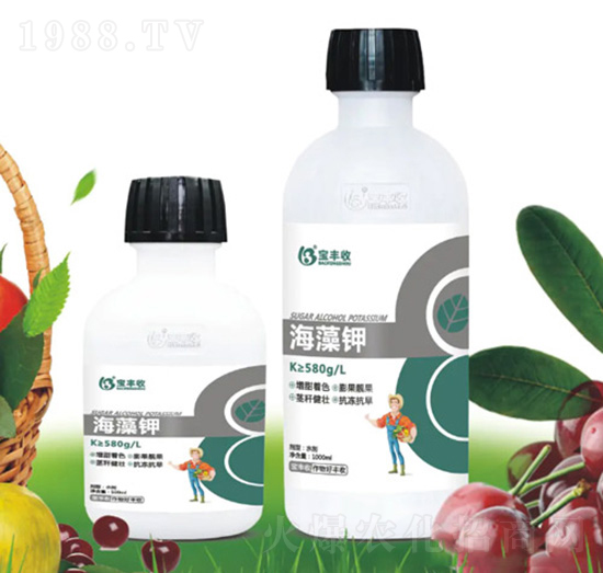 海藻鉀-寶豐收