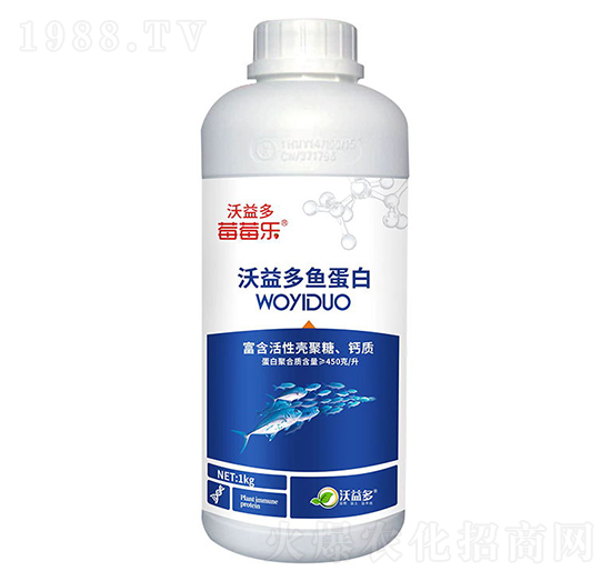 ������~(y��)����-ݮݮ��(l��)-�����