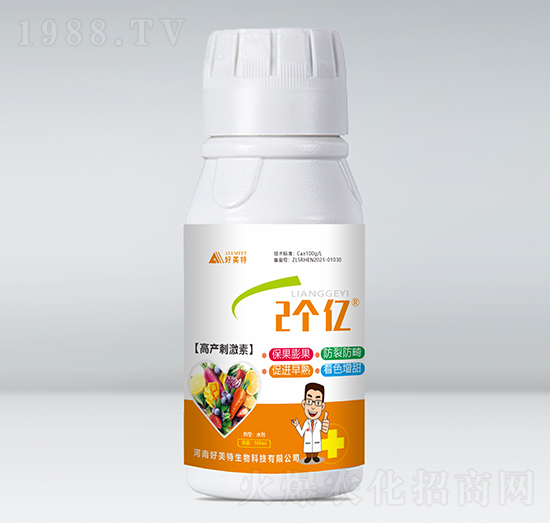 �߮a�̼���-2���|-������