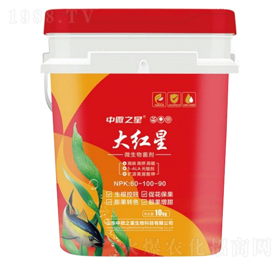 ΢�������-��t��-��΢֮��