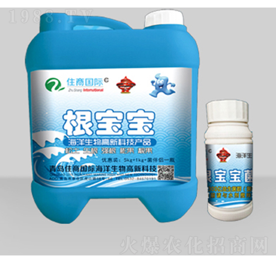 根寶寶-住商國(guó)際